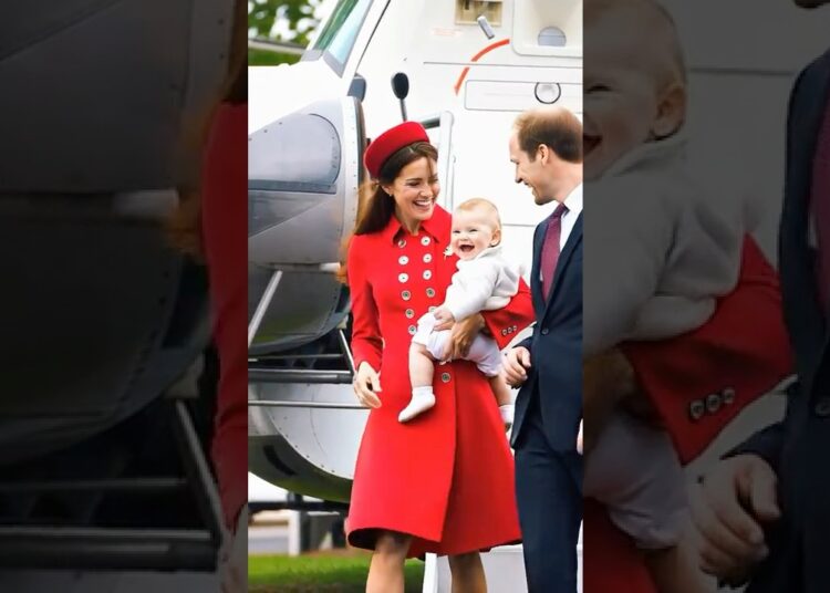 Instant love for baby George#royal #princegeorge #princesscatherine #princewilliam