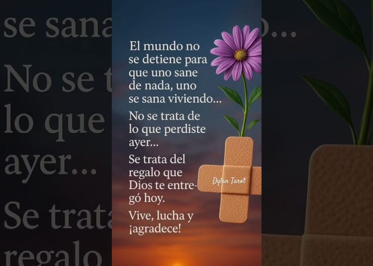 #80smusic #coversong #oldies #sad #music #song #musicgenre #lecturacartas #tarotamornuevo #love