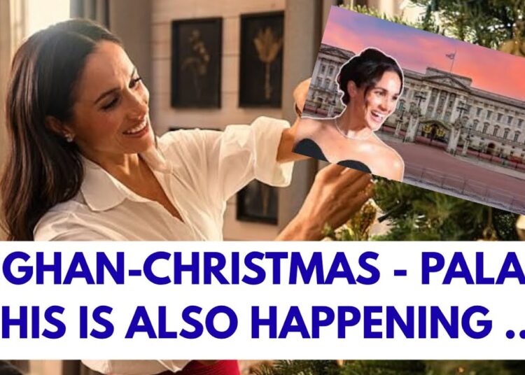 MEGHAN VS THE PALACE PT 2 – AMAZING CHEEK OF THE EX ROYALS #meghan #meghanmarkle #royal