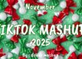 TikTok Mashup November 🤎2025🤎 (Not Clean