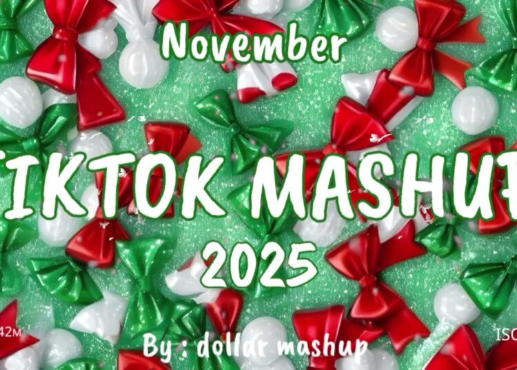 TikTok Mashup November 🤎2025🤎 (Not Clean