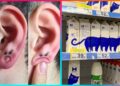 Artists Being The Funniest People Ever ▶ 16