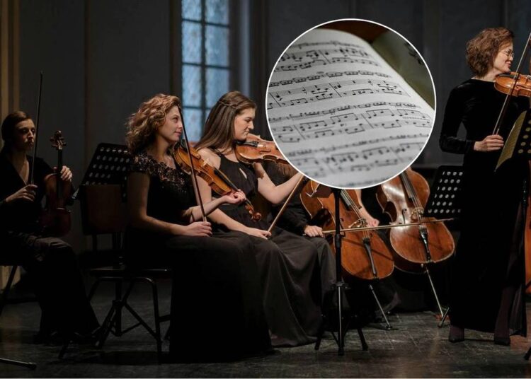 7 Beginner-Friendly Classical Music Events In Melbourne — Including Free Shows At Sidney Myer Bowl