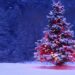Christmas Tree. CC BY 4.0 , via Wikimedia Commons