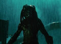 Wolf standing in the rain in Aliens vs. Predator: Requiem