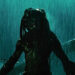 Wolf standing in the rain in Aliens vs. Predator: Requiem