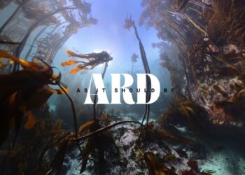 Ard Matthews New Album