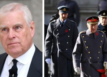 Andrew 'deeply resentful' as he misses Remembrance Sunday with royals | Royal | News