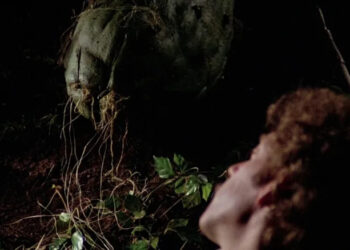 Invasion of the Body Snatchers (1978) - Matthew Bennell falling asleep next to alien pod
