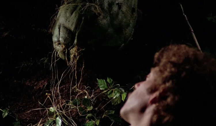 Invasion of the Body Snatchers (1978) - Matthew Bennell falling asleep next to alien pod