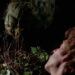 Invasion of the Body Snatchers (1978) - Matthew Bennell falling asleep next to alien pod