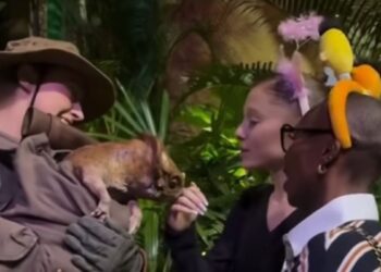 Ariana Grande and Cynthia Erivo’s night at Universal Studios Singapore ahead of Wicked: For Good premiere