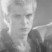Billy Idol on a video set in 1981.