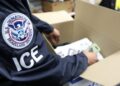 Border agents heading to New Orleans; Loyola music business program recognized; Gulf South doctors perform robotic-assisted spinal surgery