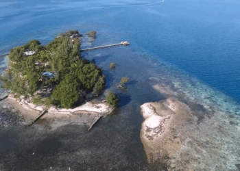 "Broke" Francis Ford Coppola Sells One Of His Belize Island Retreats to Stem $100+ Million "Megalopolis" Loss