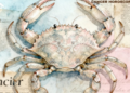 Cancer Horoscope Today: Read our expert astrological predictions to find out what the stars have in store for you.