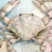 Cancer Horoscope Today: Read our expert astrological predictions to find out what the stars have in store for you.