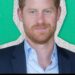 Catching up with the royals (November 17, 2025)
