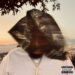 Stereogum home