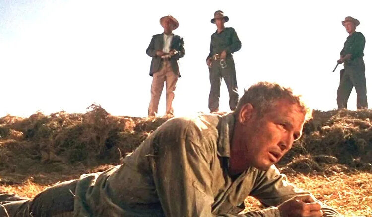 Three men standing over Luke in "Cool Hand Luke"