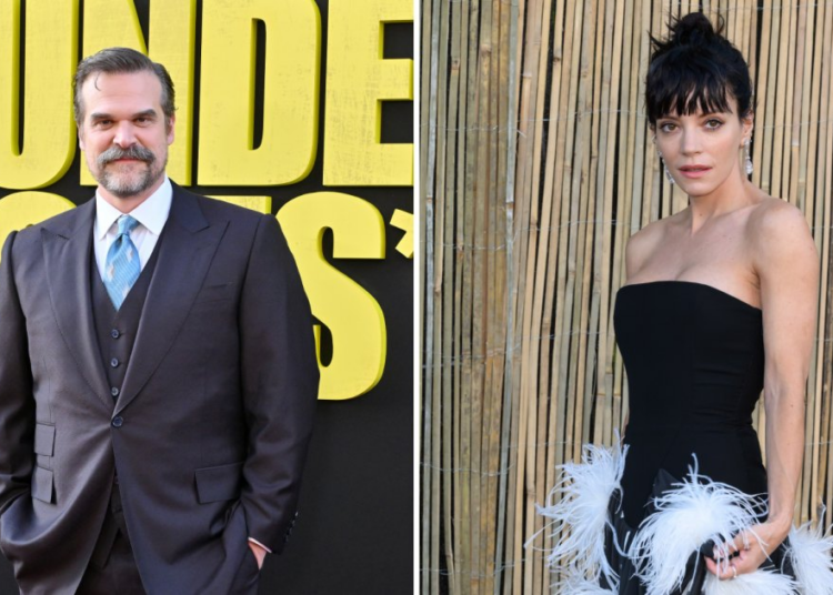 David Harbour Says He Wants Someone to 'Love' After Lily Allen Split