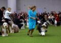Entertainment, 1990s culture dominate 2025's top pet names