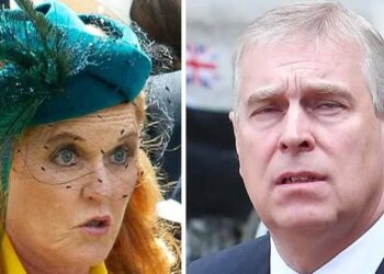 The royal family is 'worried' about ex-Prince Andrew and Sarah Ferguson post-scandal, a source claims. mega