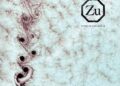 Explore 37 New albums just announced – 11/03/2025