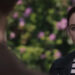 malevolent official trailer