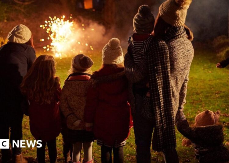 Adults and children wearing hats and scarves standing on a lawned area in the dark watching fireworks