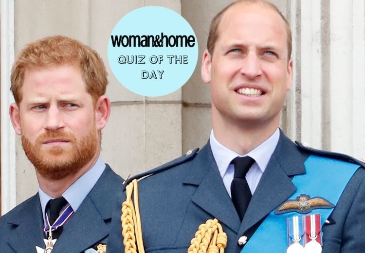 Quiz of the Day - Prince William and Prince Harry