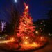 Gift of Lights at Dover Motor Speedway features more than 100 scenes