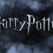 Harry Potter star takes on new role in Netflix thriller - Celebrity News - Entertainment