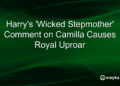 Harry's 'Wicked Stepmother' Comment on Camilla Causes Royal Uproar