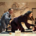 all's fair ryan murphy legal drama