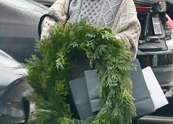 Hilary Duff showed off a strikingly smooth visage that shocked her fans and raised concerns about possible cosmetic procedures when she was spotted out shopping for Christmas decorations in LA on Monday