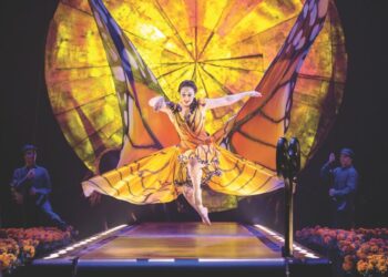 Holiday Happenings: Lights, music, and performances kick off the festive season 