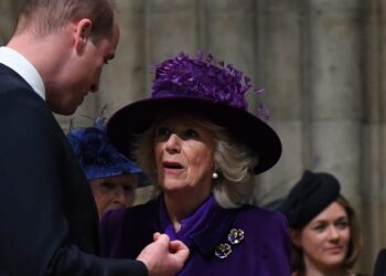 How Prince William and Queen Camilla Have Caused “Family Angst”