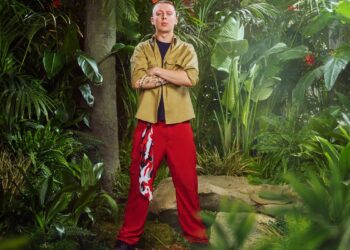 i'm a celebrity get me out of here