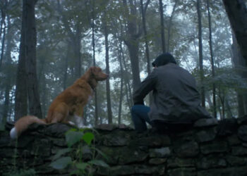 Good Boy himself, Indy, alongside the deuteragonist Todd. Taking a moment at the family graveyard. <p><a href="https://www.goodboy.movie/synopsis/" rel="nofollow noopener" target="_blank" data-ylk="slk:IFC;elm:context_link;itc:0;sec:content-canvas" class="link ">IFC</a></p>