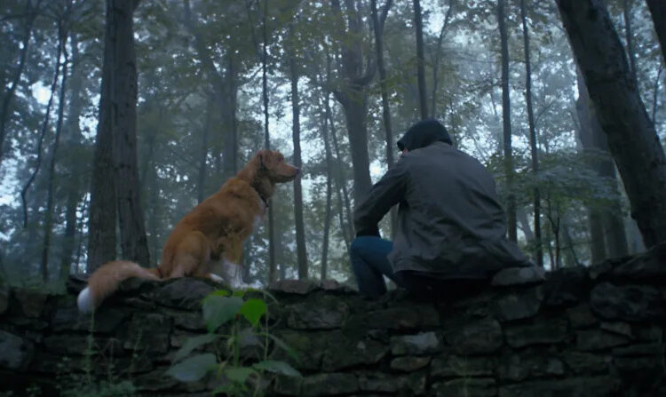 Good Boy himself, Indy, alongside the deuteragonist Todd. Taking a moment at the family graveyard. <p><a href="https://www.goodboy.movie/synopsis/" rel="nofollow noopener" target="_blank" data-ylk="slk:IFC;elm:context_link;itc:0;sec:content-canvas" class="link ">IFC</a></p>