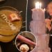 Inside Hailey Bieber's lavish 29th birthday party