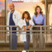 Grey's Anatomy secrets, season 22 art