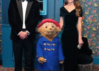 Prince William and Princess Kate were particularly taken with Paddington on Wednesday at the Royal Variety Performance at the Royal Albert Hall