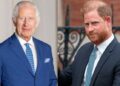 King Charles urged to follow Prince Harrys footsteps to win Britian support