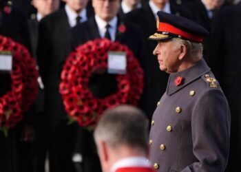 King leads royals at poignant Remembrance service at the Cenotaph | Royal | News
