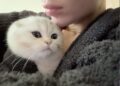 Kylie Jenner Reveals New Kitten Following the Death of Her Dog Norman