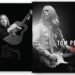 Lavish, New Tom Petty Book Celebrates His Life & Music