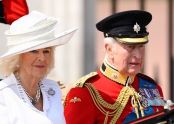 Lip reader reveals King Charles' savage Prince Harry putdown - Royals - News