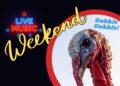 Live Music Events In Texarkana For Pre-Turkey Weekend